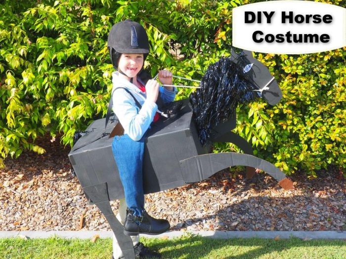 Horse rider costume ideas halloween costumes amazing top theverybesttop10 horses easy owner idea article dress farmyard star choose board dressing