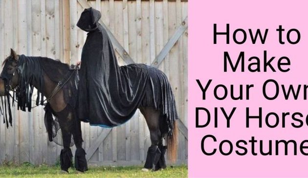 Horse pumpkin costume with rider diy