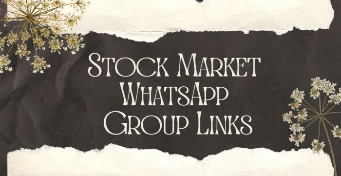 Stock price whatsapp