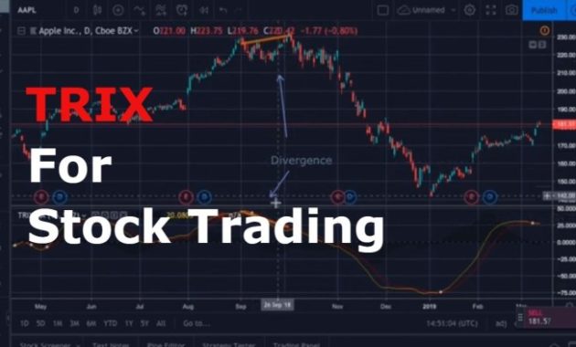 Trrix stock price