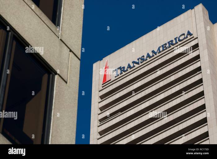 Transamerica corporation stock price